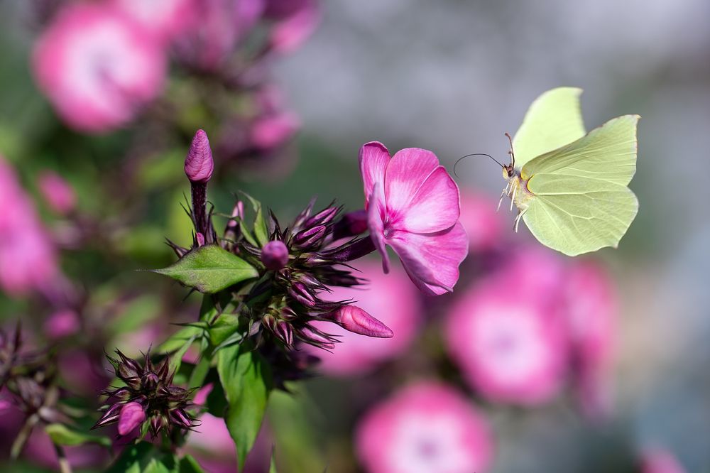 Photograph by Светлана Писарева