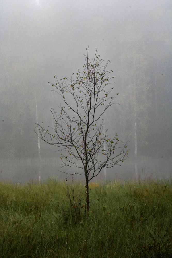 Photograph by МАРИНА