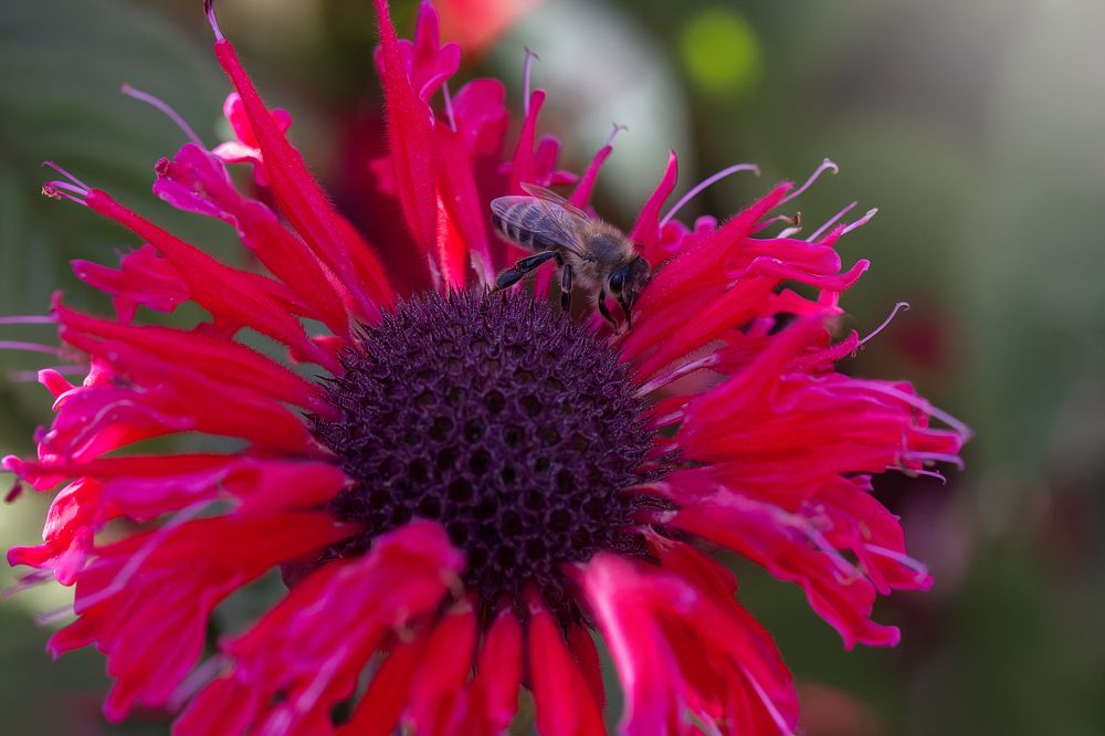 Photograph by Светлана Писарева