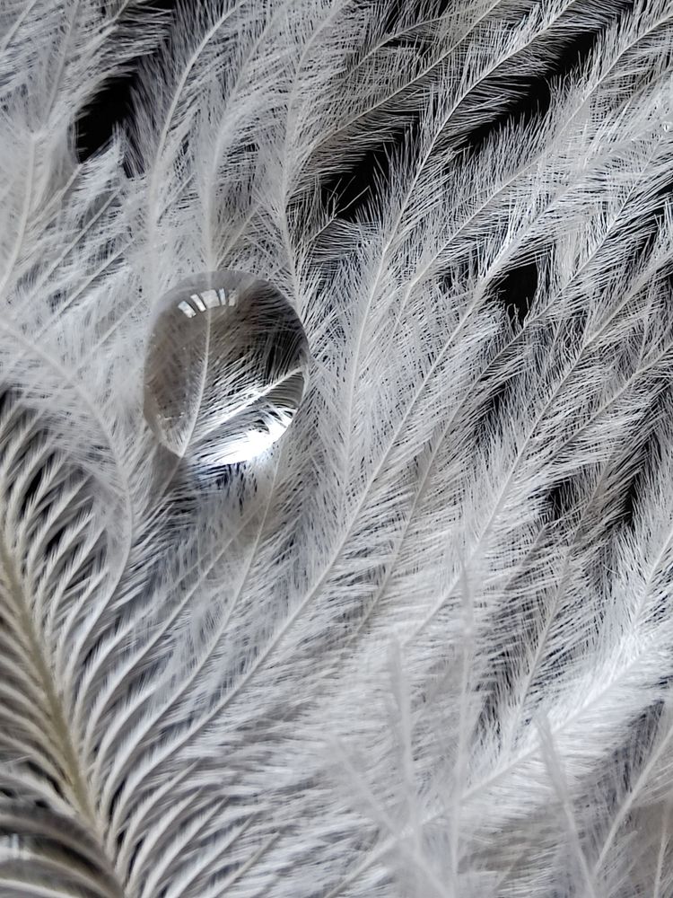 Photograph by Татьяна Гулакова