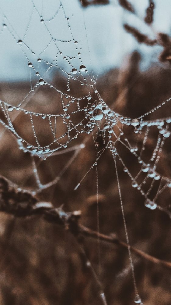 Photograph by Наталья Исиченко