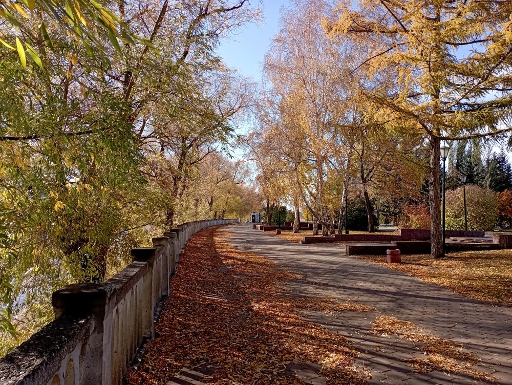 Photograph by Анастасия Кичигина