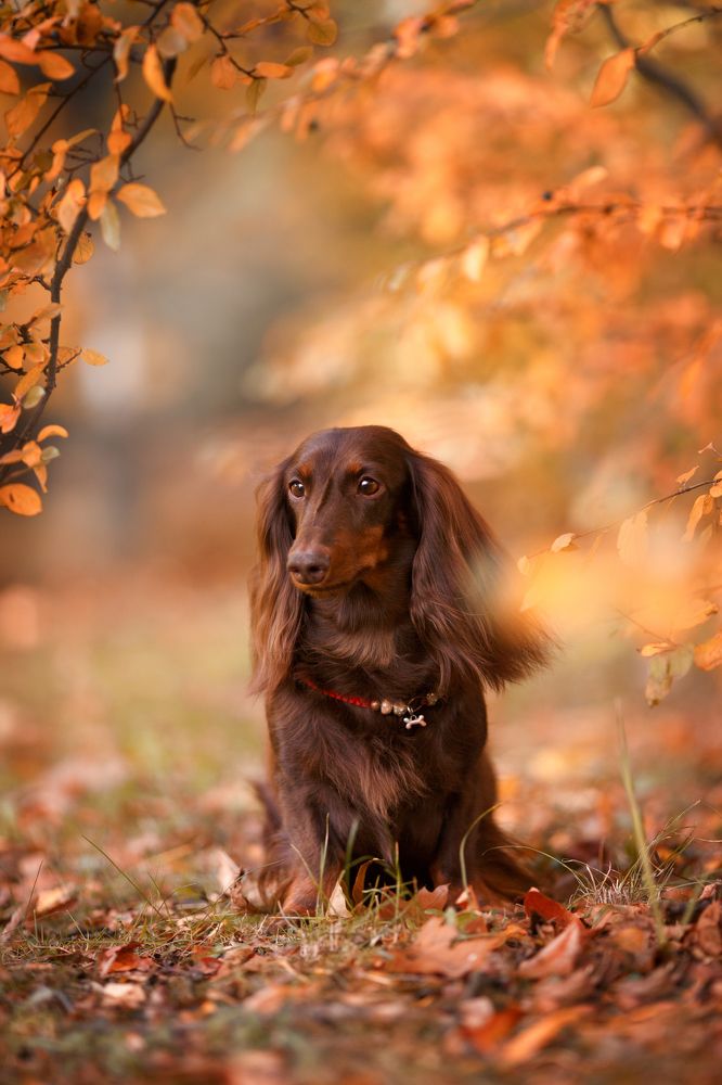 Photograph by Костусева Евгения Юрьевна