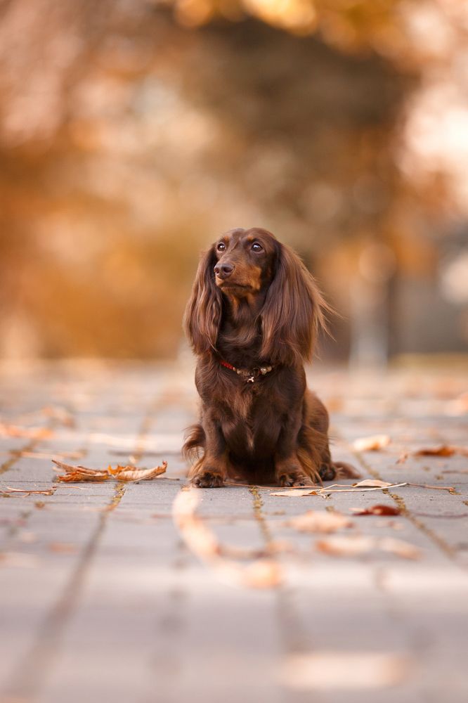 Photograph by Костусева Евгения Юрьевна