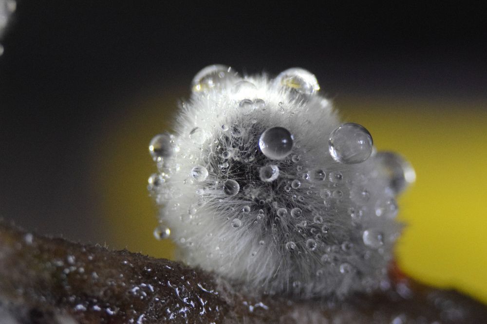 Photograph by Евгения Дахина