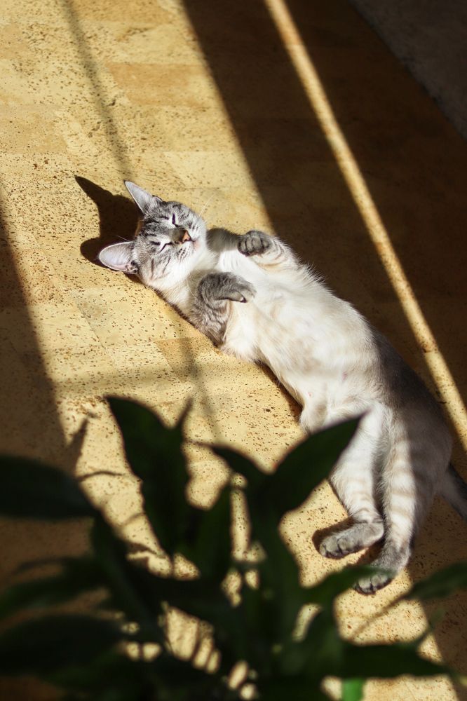 Photograph by Гульназ