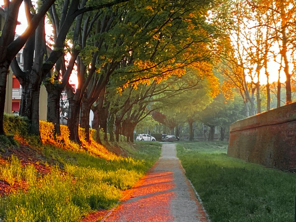 Photograph by Loreta Tepshi