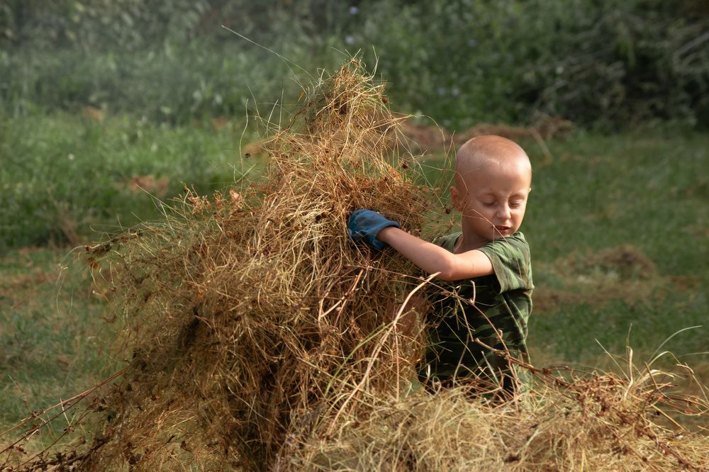 Photograph by Наталья Зверева
