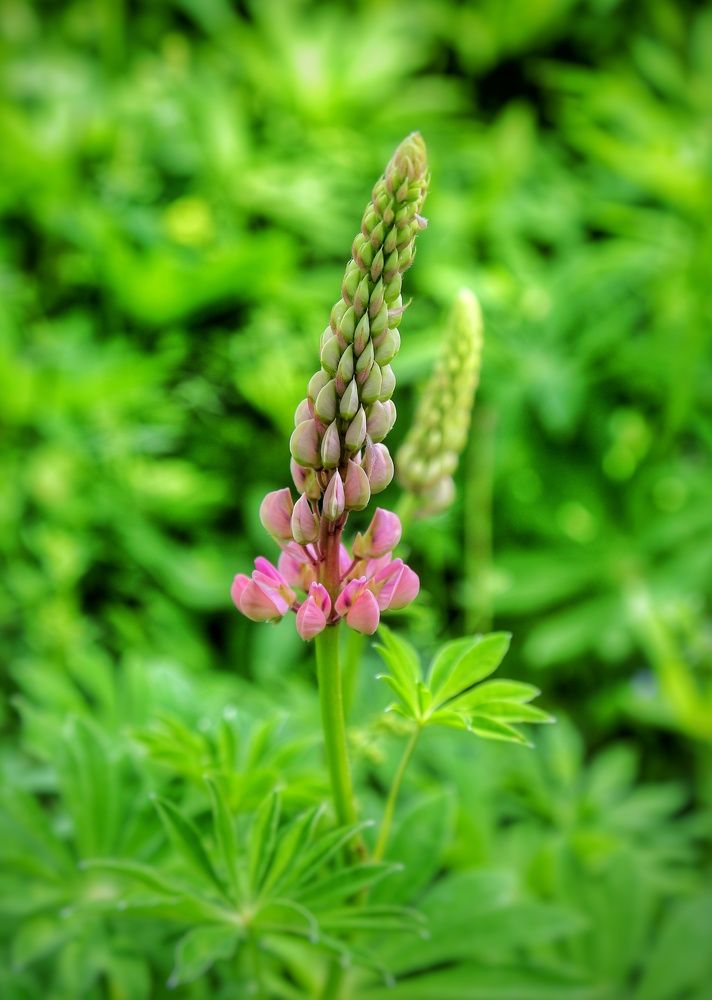 Photograph by Мария Андреева