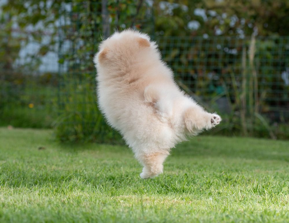 Photograph by Иван Грачев