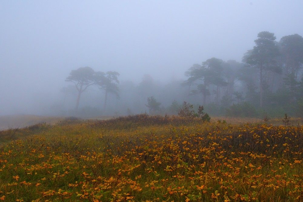 Photograph by Janis Serdienis