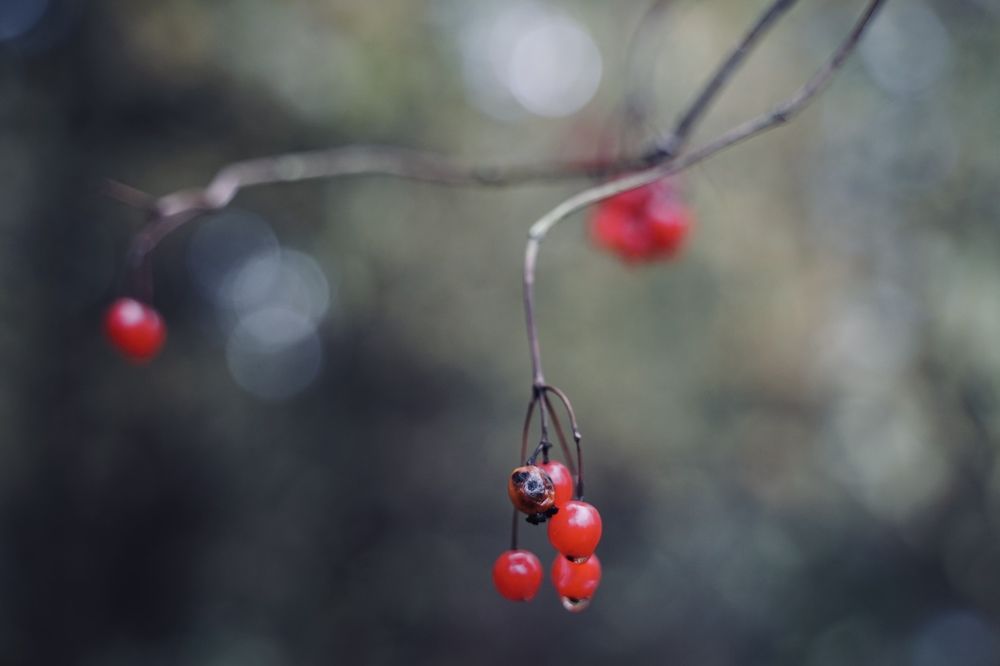 Photograph by Наталья Сережко