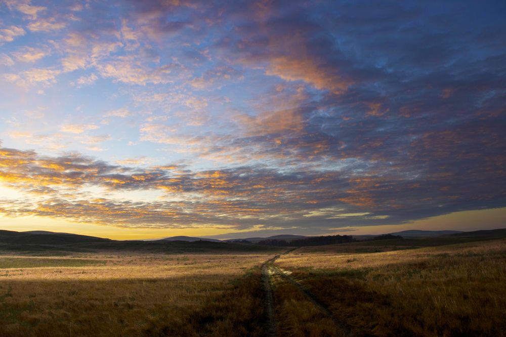 Photograph by Галина Ильясова