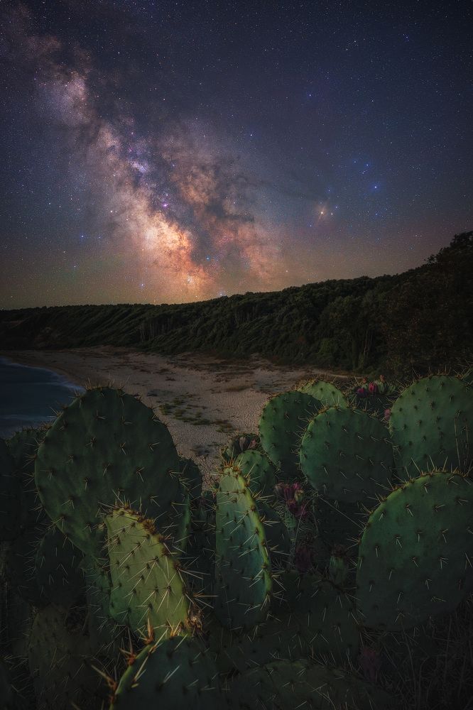 Photograph by Lyubomir Momchilov