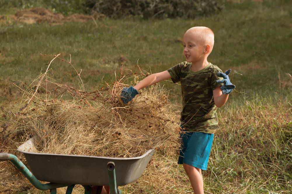 Photograph by Наталья Зверева