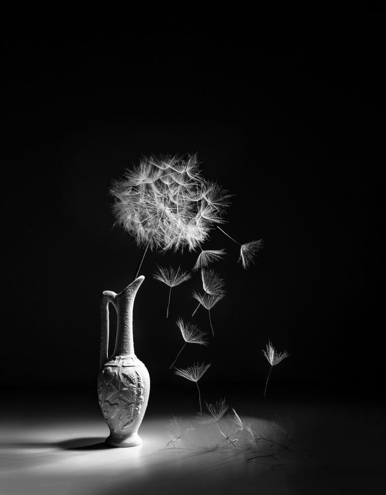 Photograph by Ирина Толокновская