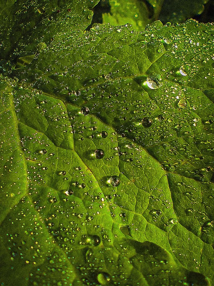 Photograph by Мария Вячеславовна