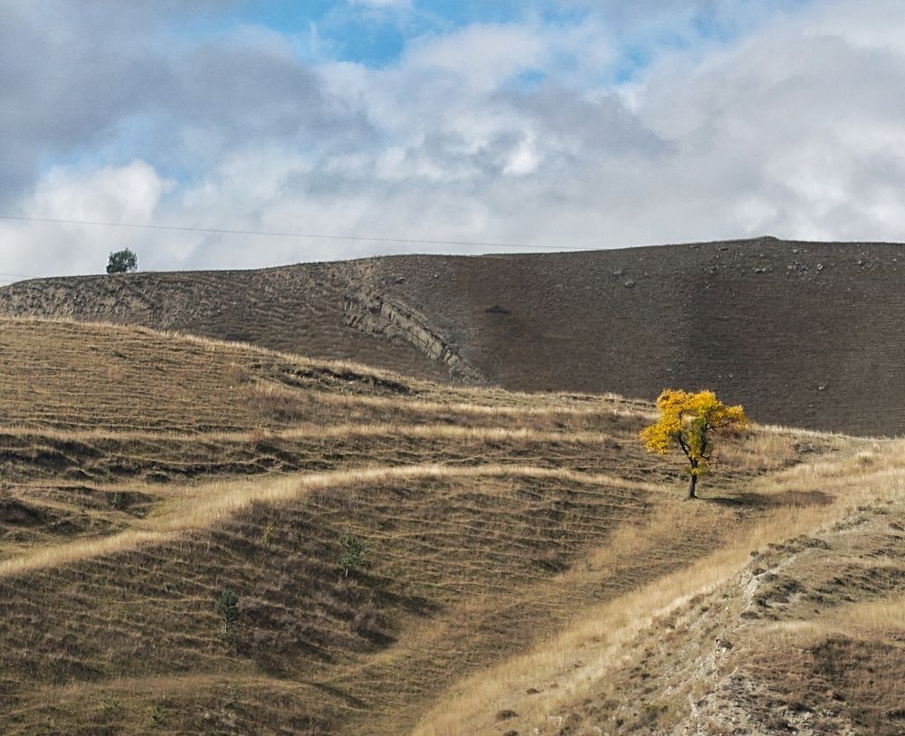 Photograph by Юрий Сычев