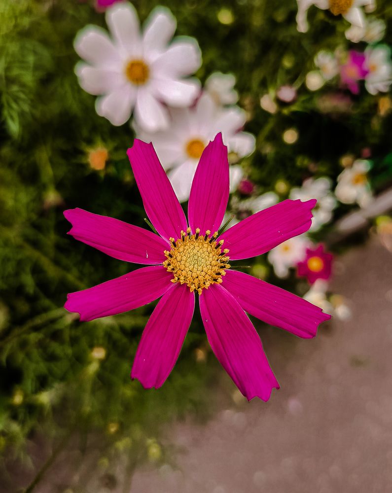 Photograph by Мария Вячеславовна