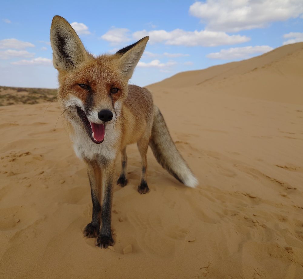 Photograph by Юрий Сычев