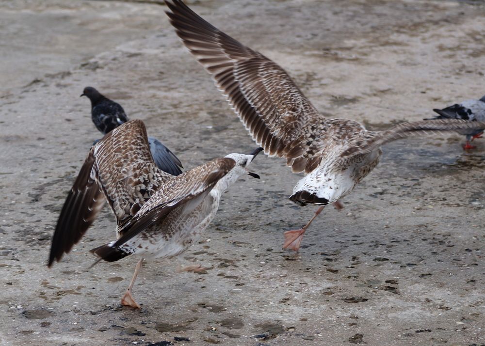 Photograph by Юрий Сычев