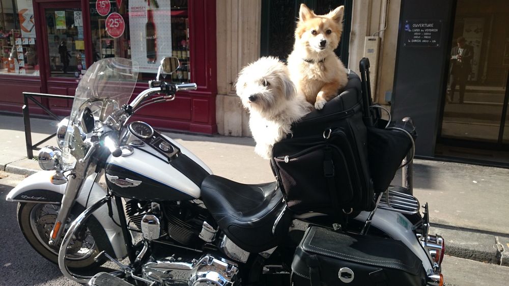 Photograph by Юрий Сычев