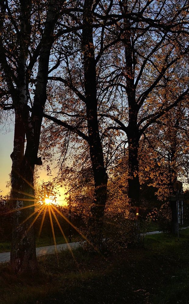 Лучи заката