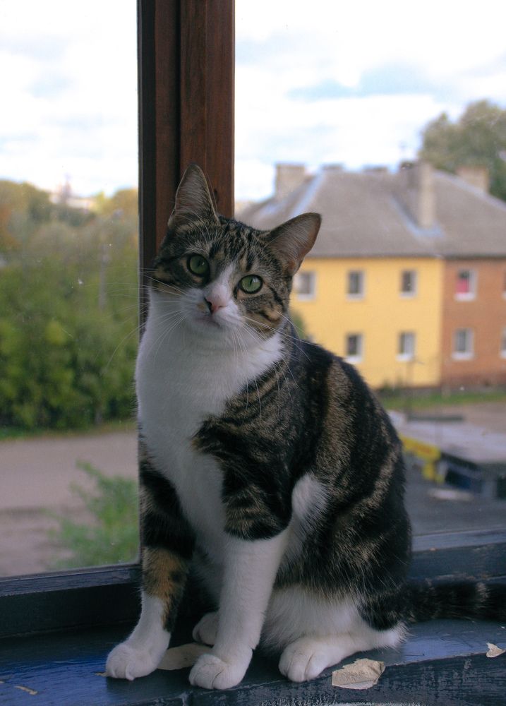 Photograph by Кристина Альшанская