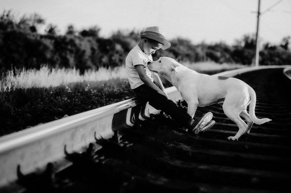 Photograph by Мищенко Виктория