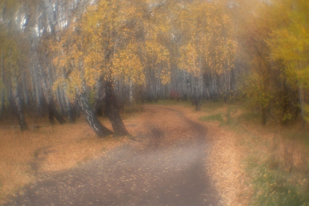 Photograph by Татьяна Овчинникова