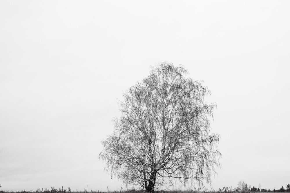 Photograph by Максим Фролов