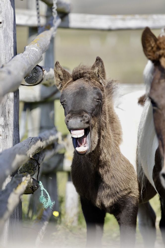 Photograph by Ольга Одаренко