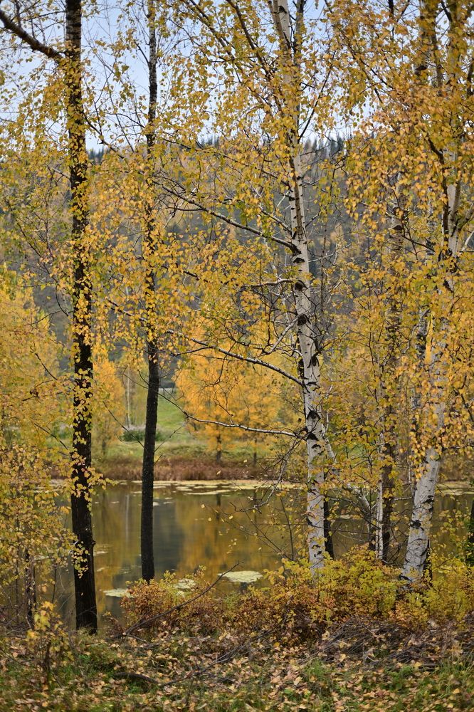 Photograph by Anastasiya Buller