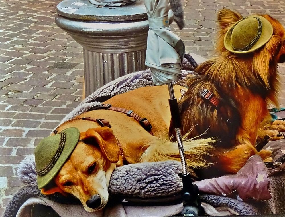 Photograph by backareva irina