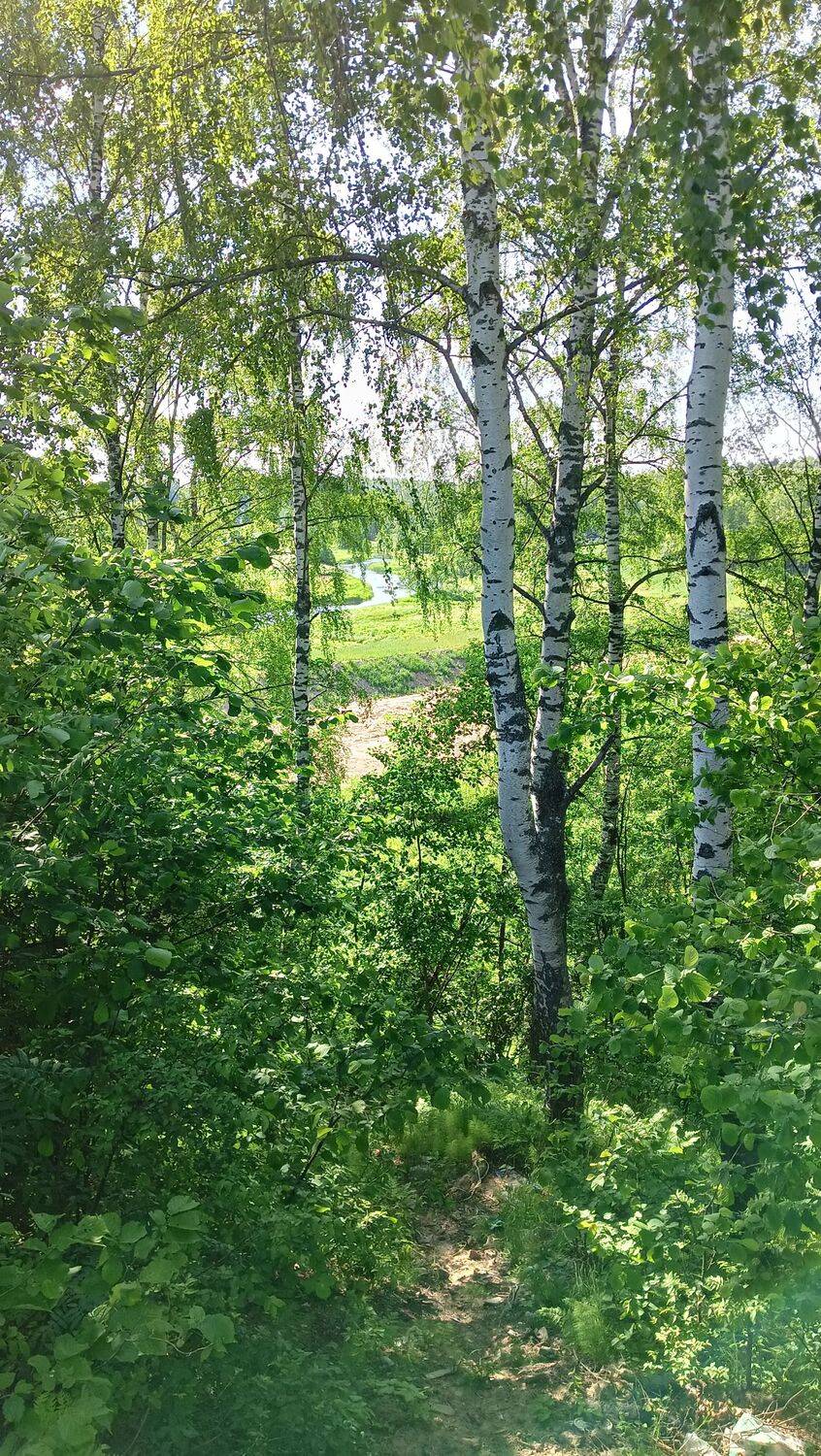 Photo #9691205