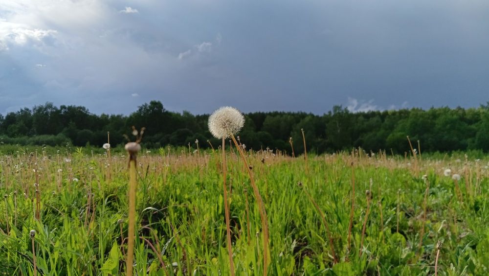 Photo #9691206
