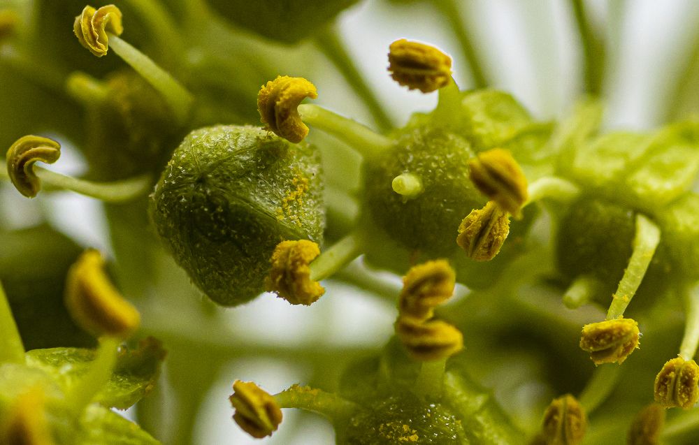 Photograph by Alex Kalpus