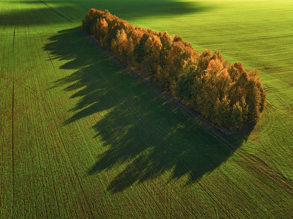 Photograph by Брытков Николай