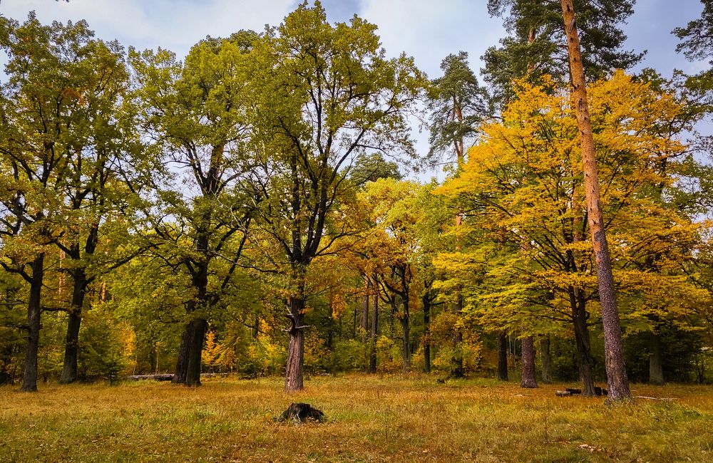 Фотография автора Алёна Подгорная