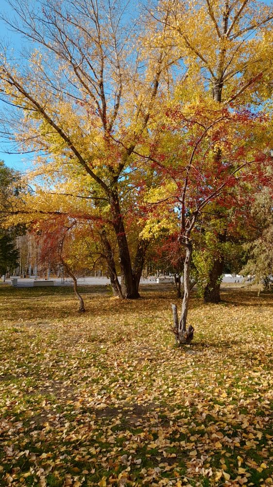 Фотография автора Анна Морозова