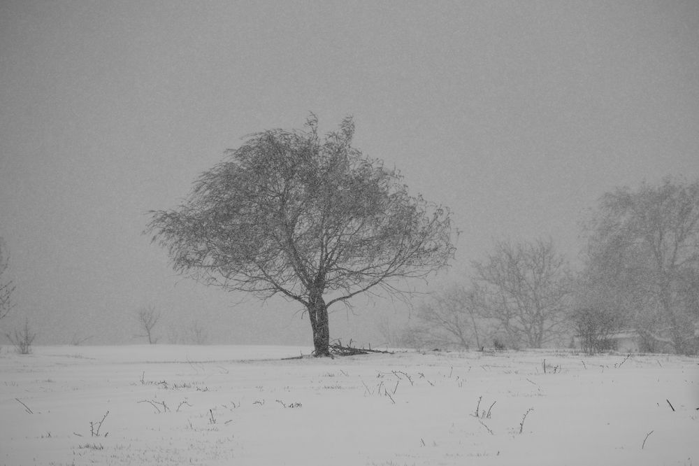 Photograph by marius burcea