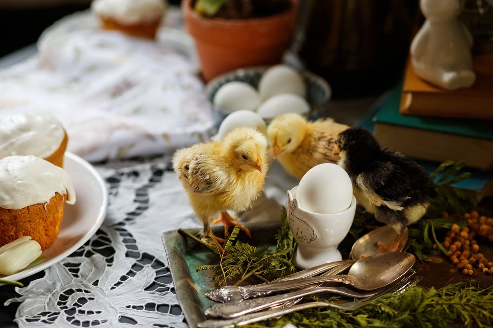 Photograph by Цыбина Елена