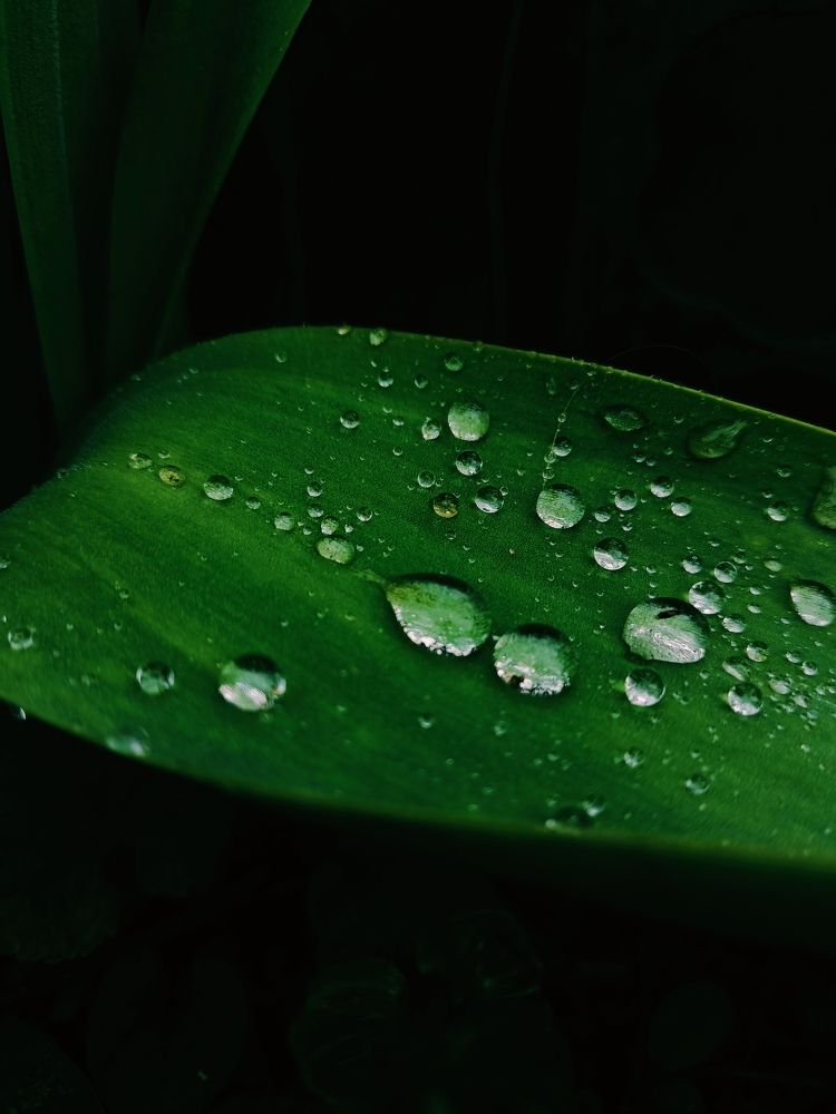 Photo #9691332