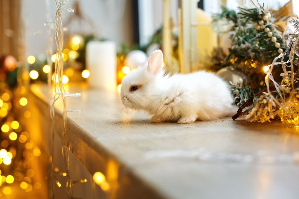 Photograph by Цыбина Елена