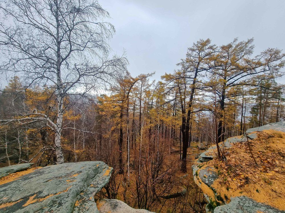 Photograph by Максим Фролов