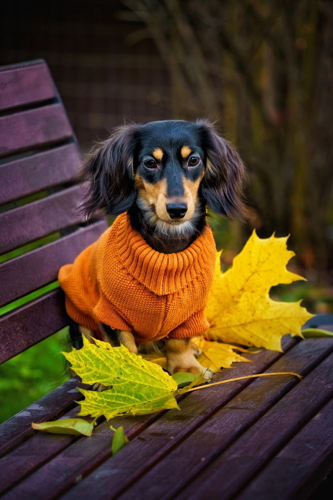 Photograph by Цыбина Елена