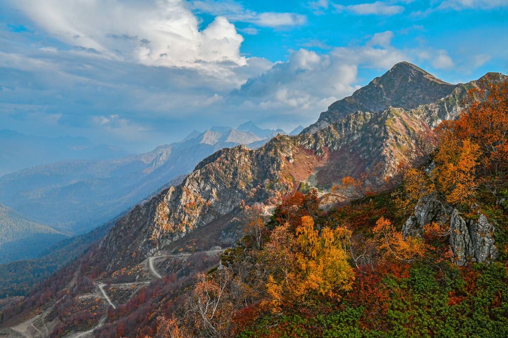 Осенние краски