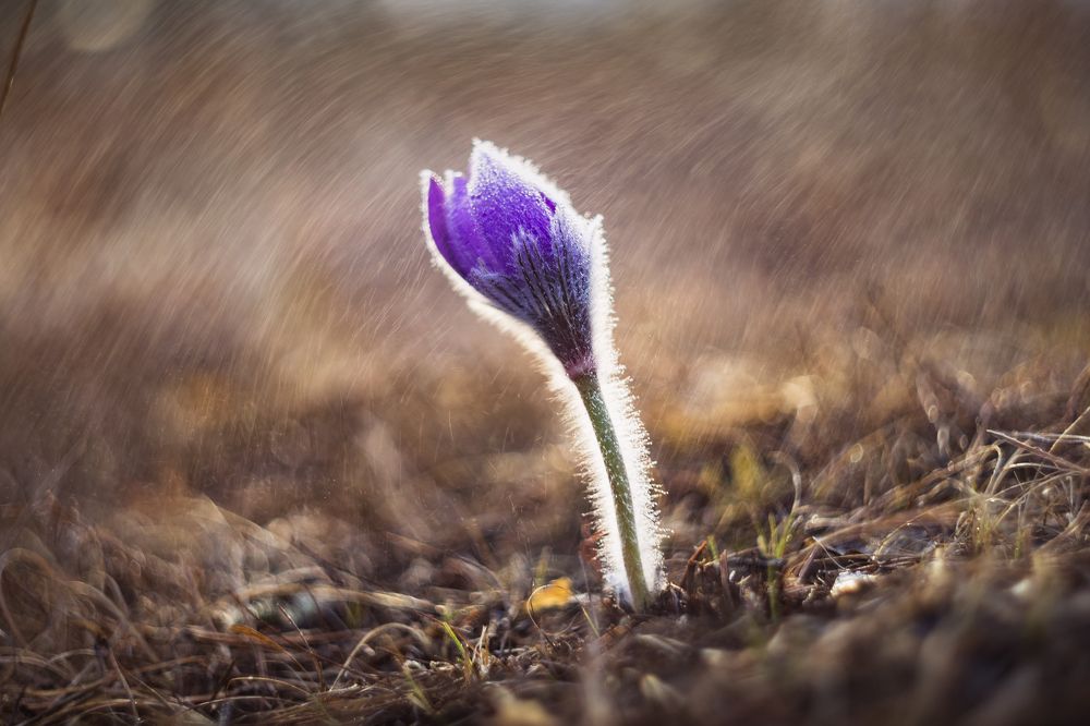 Photograph by Портных Дмитрий