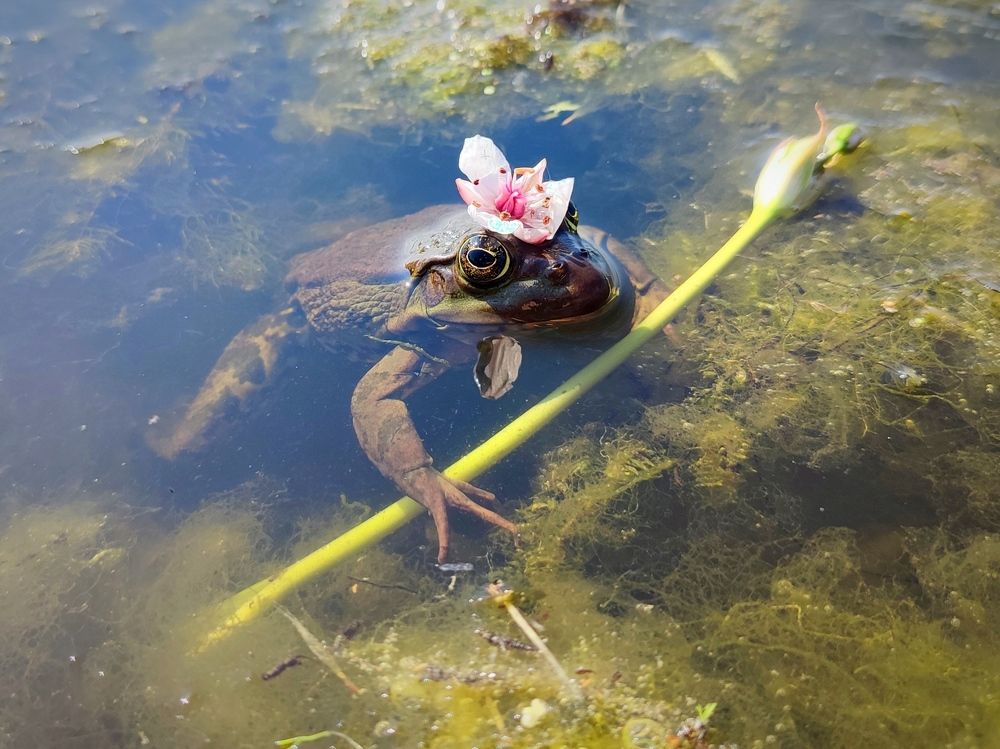 Photograph by Юлия Гинтер