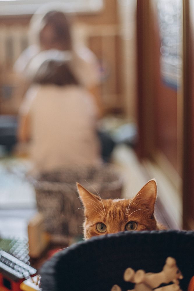 Photograph by Елена Копылова